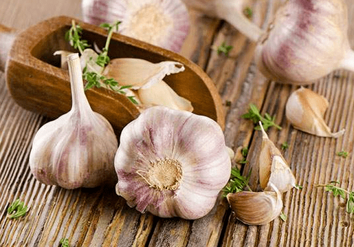 Knoblauch ist das beste Mittel gegen Würmer
