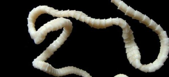 Ich hatte einen Bullen